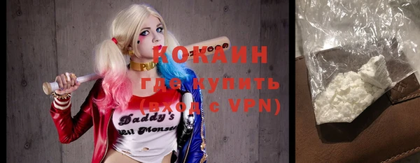 СК Волоколамск