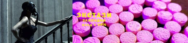 СК Волоколамск