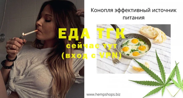 СК Волоколамск