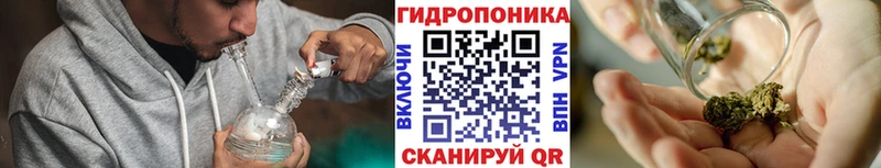 Бошки марихуана Amnesia  Купить закладки  Коряжма 